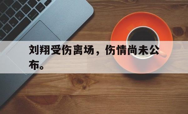 刘翔受伤离场，伤情尚未公布。
