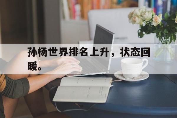 孙杨世界排名上升，状态回暖。
